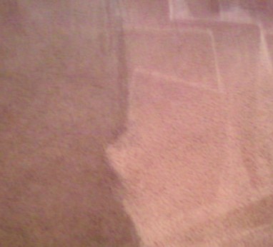 steam-cleaned-carpet